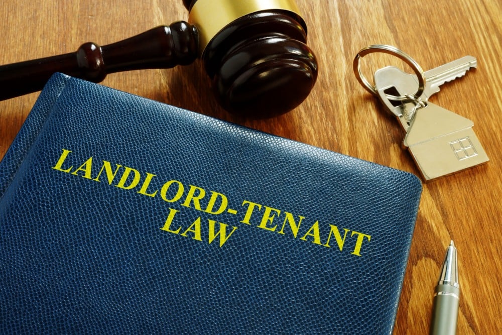 A renter reviewing a rental agreement, which may establish whether email or text qualifies as written notice for landlord entry.