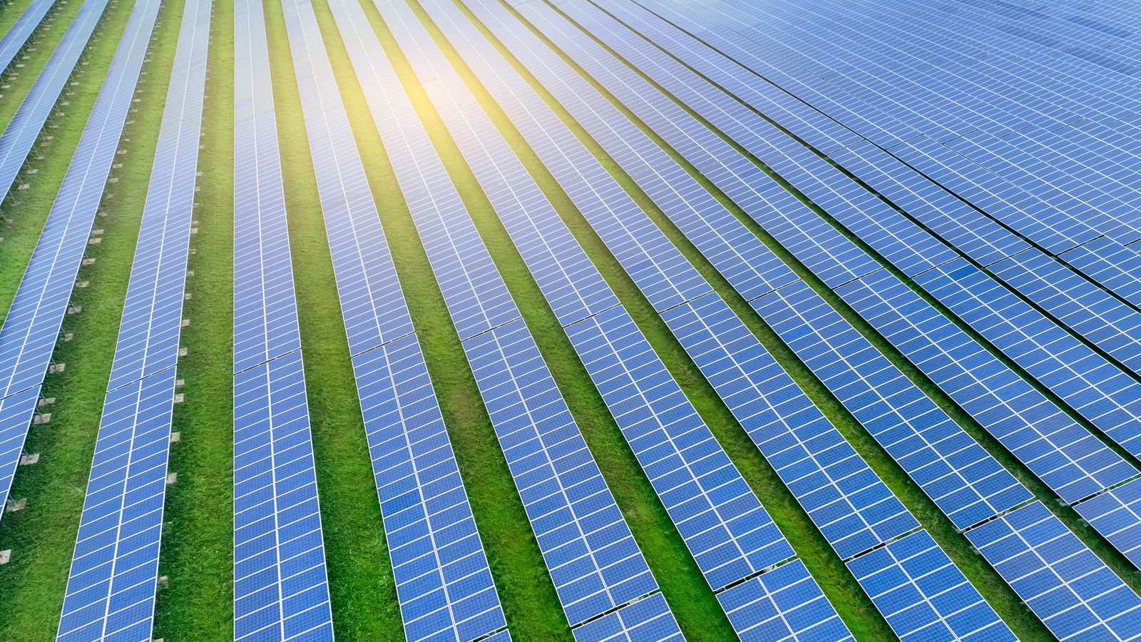 A solar farm in California, an example of renewable energy projects that must undergo CEQA environmental review before approval.